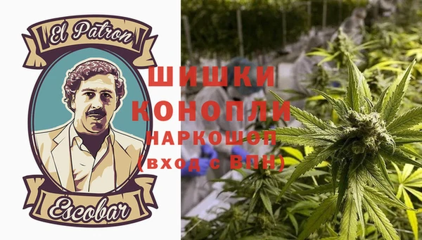 гидропоника Белокуриха