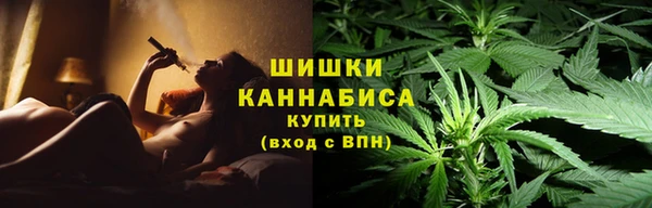 гидропоника Белокуриха