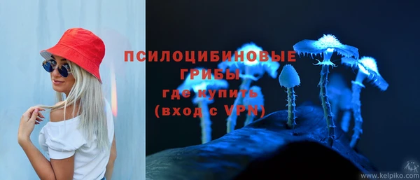 спиды Белоозёрский