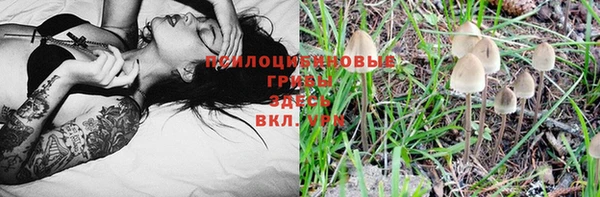 спиды Белоозёрский