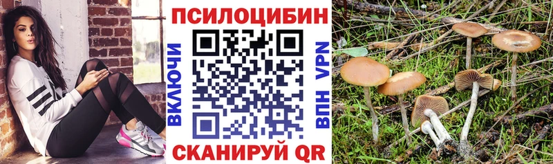 это наркотические препараты  Волчанск  Галлюциногенные грибы MAGIC MUSHROOMS 
